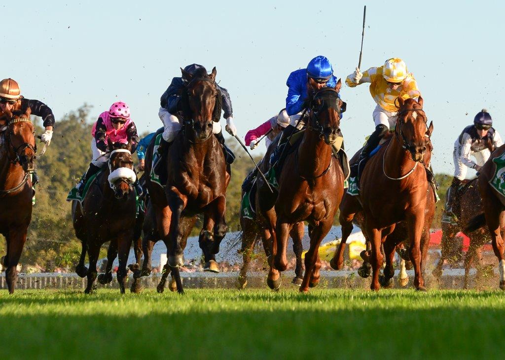 2023 TAB Ipswich Cup Meeting In Review 